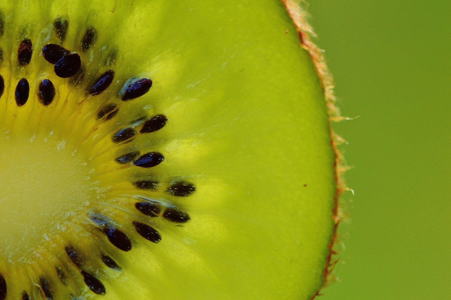 Close up of a green kiwi