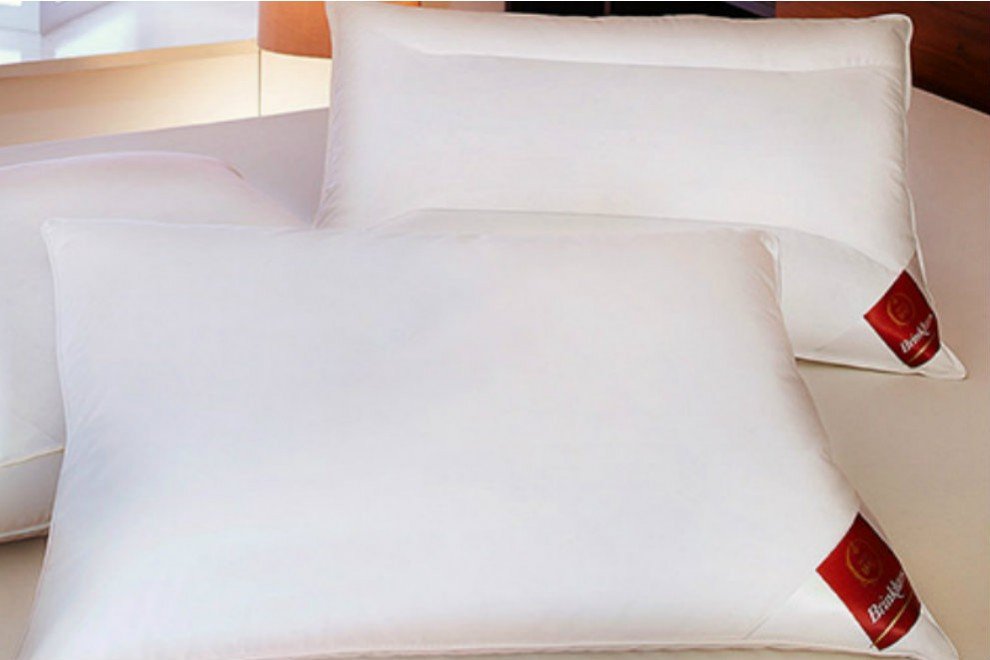Brinkhaus Hungarian Goose Pillows And So To Bed