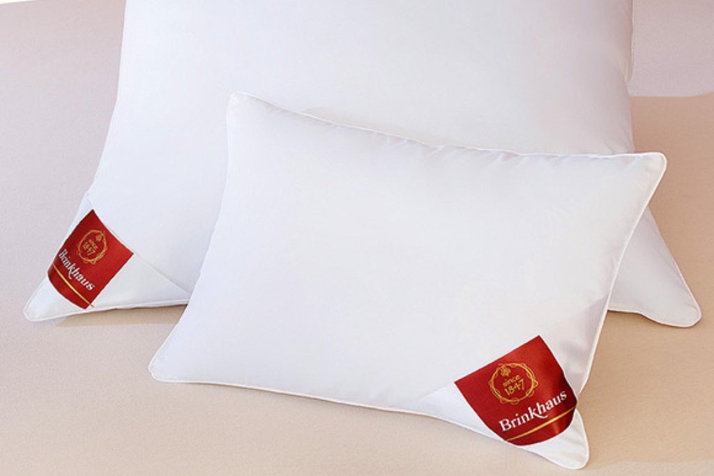 Brinkhaus Duck Feather Down Pillow And So To Bed
