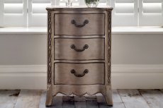 Georgian Leafed Bedside Chest