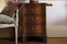 Eclectic Mahogany Wooden Bedside Chest