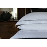 Reed Family Linen Hurlingham Oxford Pillowcase Pair