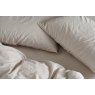 Bedfolk Bedfolk Relaxed Cotton Pillowcase Pair