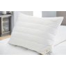 Brinkhaus Blue Aerelle® Pillow