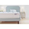 Aireloom Venice Mattress & Aire Divan