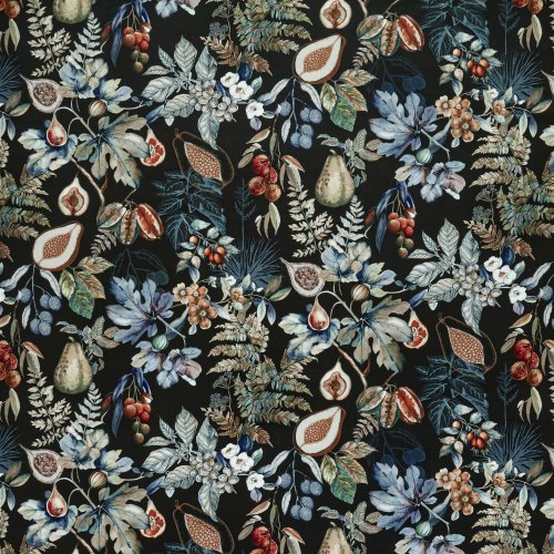 Borneo - Midnight