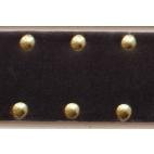 Brass Studs
