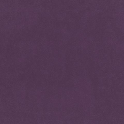 Warwick - Amethyst - 4046