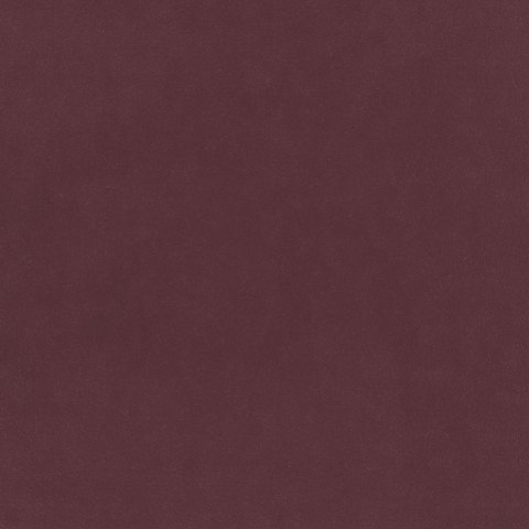 Warwick - Brinjal - 4028