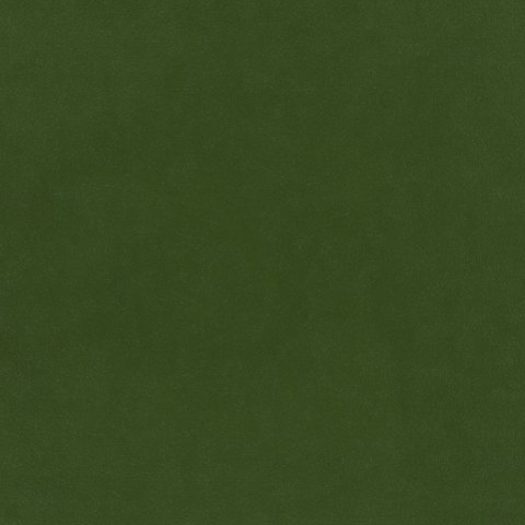 Warwick - Conifer - 4052