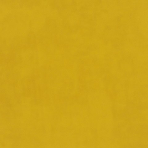 Warwick - Daffodil - 4022