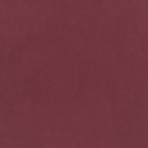 Warwick - Dirty Rose - 4053
