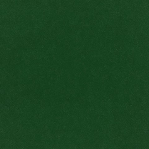 Warwick - Evergreen - 4054