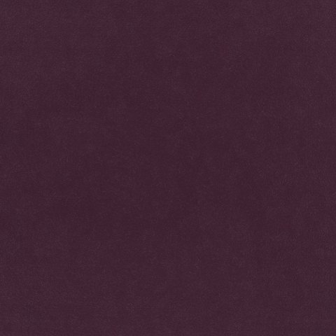 Warwick - Grape - 4029