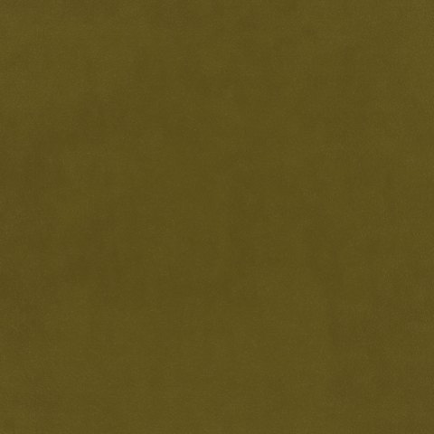 Warwick - Moss - 4033