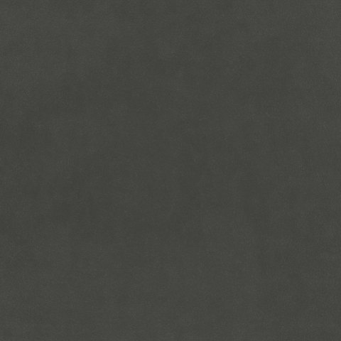 Warwick - Shadow - 4010
