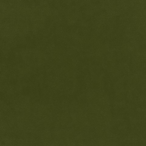 Warwick - Vine - 4034