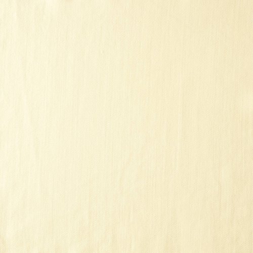 Pure Wool - Ecru - 851